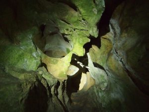 Tropfsteinhöhle in Alland © Wolfgang Muhr